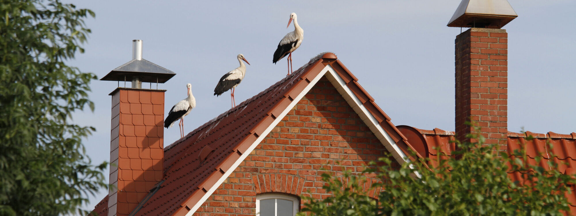 Pourquoi opter pour un habillage de cheminée en aluminium sur mesure ? Colmar