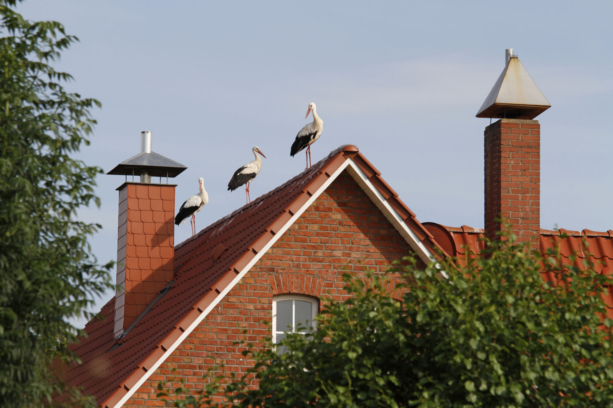 Pourquoi opter pour un habillage de cheminée en aluminium sur mesure ? Colmar